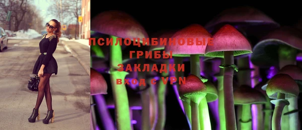 ешки Беломорск