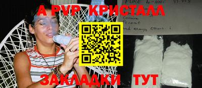 мяу мяу мука Малгобек