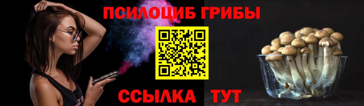 Галлюциногенные грибы Psilocybe Верхний Уфалей