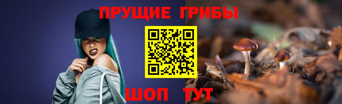 Верхний Уфалей  Псилоцибиновые грибы ЛСД  Вход с VPN 